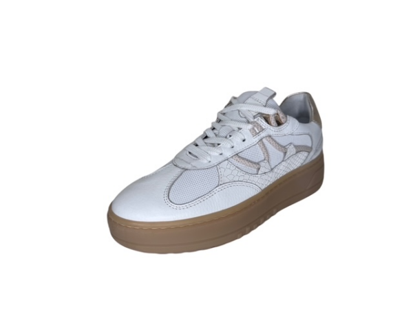 Poelman Sneaker white anaconda