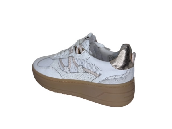 Poelman Sneaker white anaconda