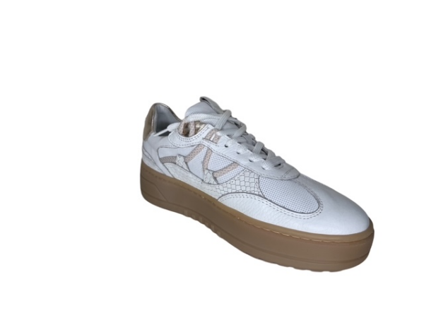 Poelman Sneaker white anaconda