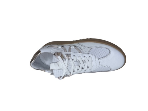 Poelman Sneaker white anaconda